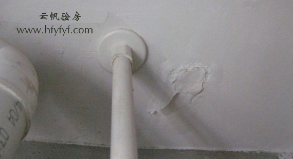 �l���g�����ˮ�n��Ƥ�F��